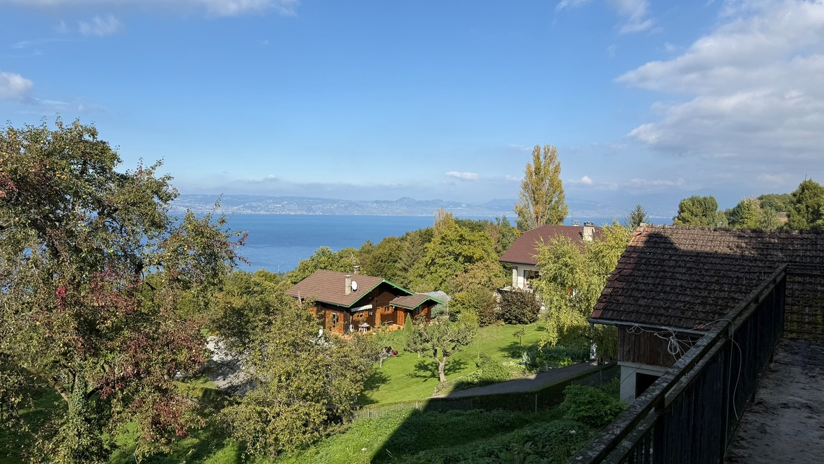 Photo Maison Thonon Les Bains 214 m2 image 3/3
