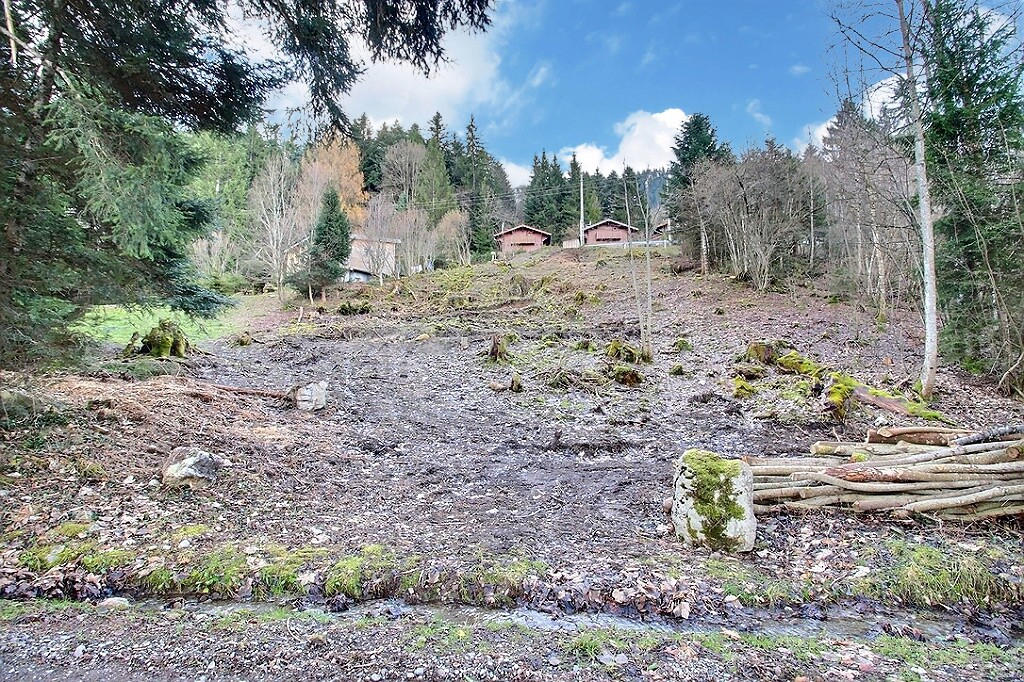 À vendre ? Terrain constructible en zone UB à Thollon-les-Mémises - 1114 m2