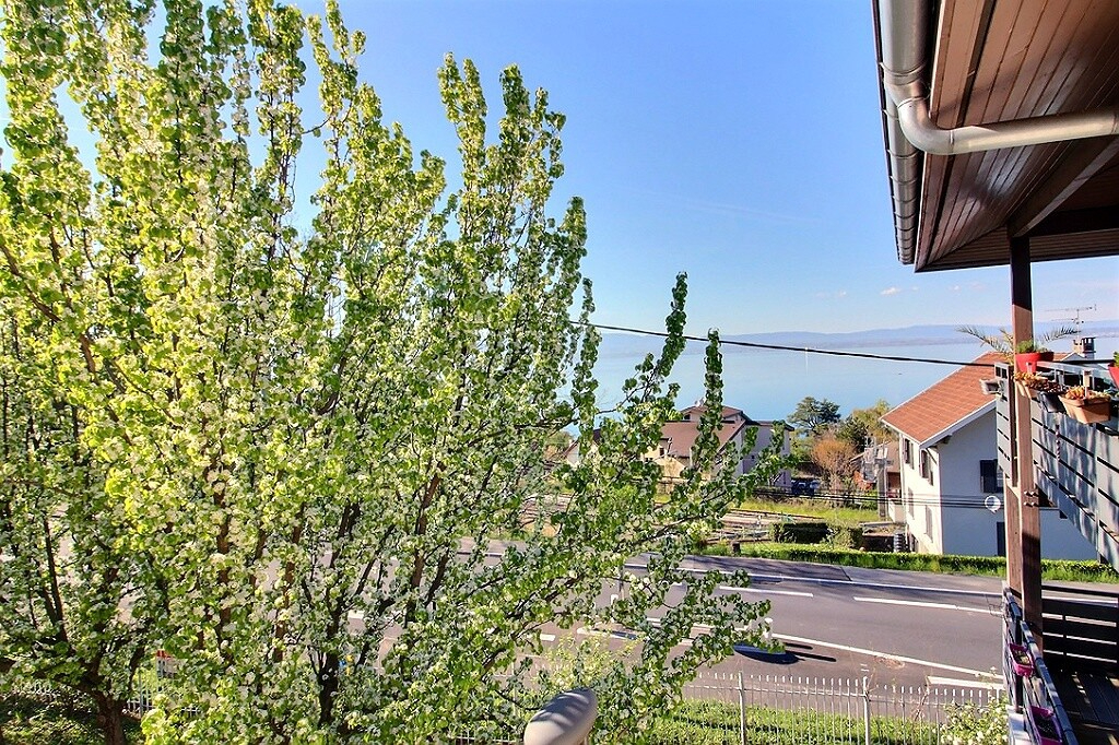 Agence immobilière de IMOGROUP site global - Imogroup Evian