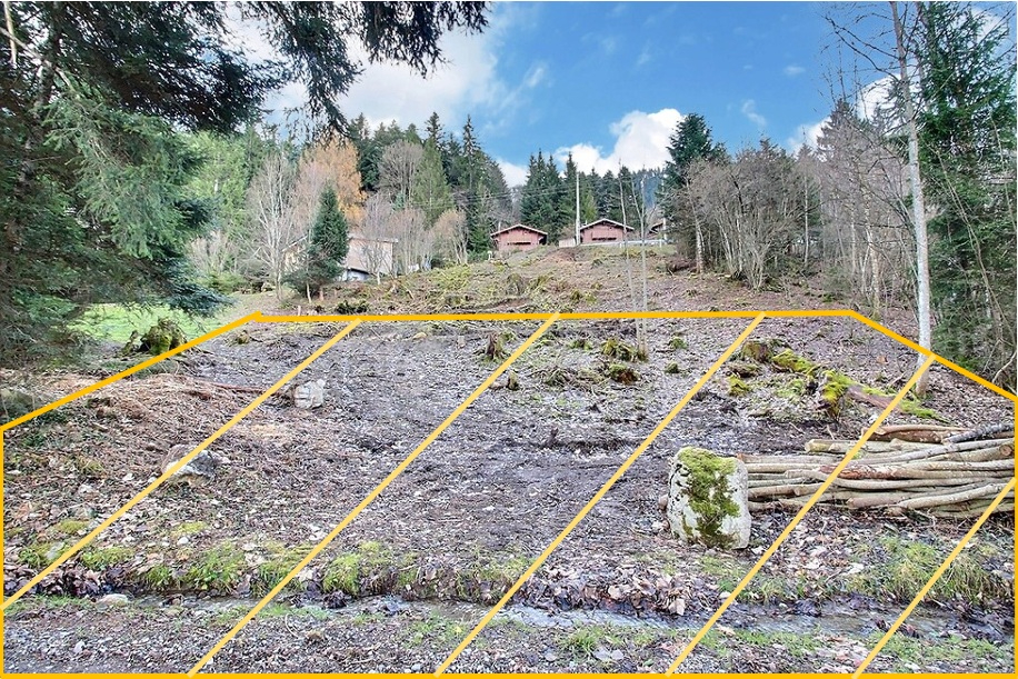 Terrain 550 m² · à Thollon-les-Mémises · 110 000 €