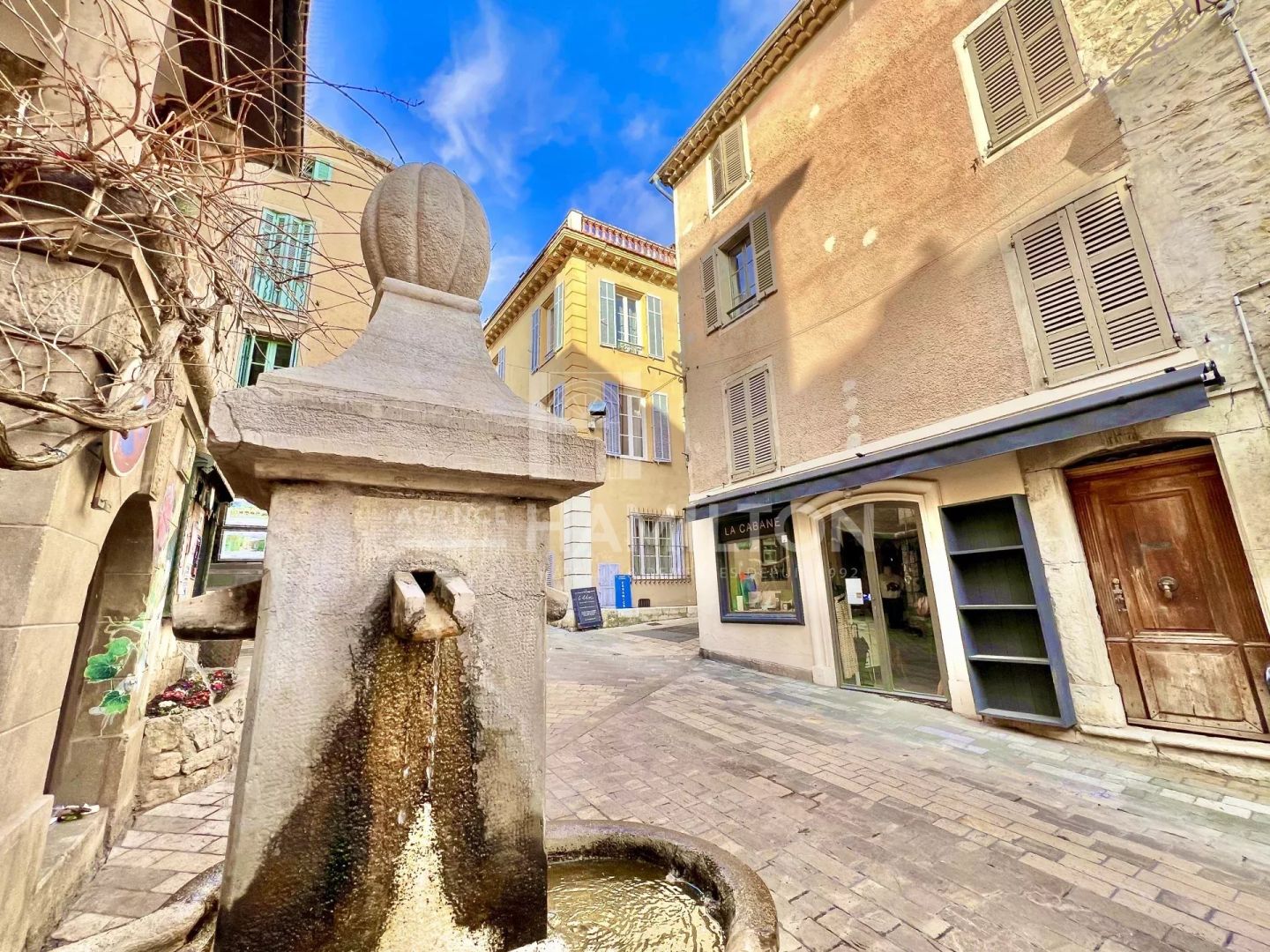Agence immobilière de AGENCE HAMILTON VALBONNE