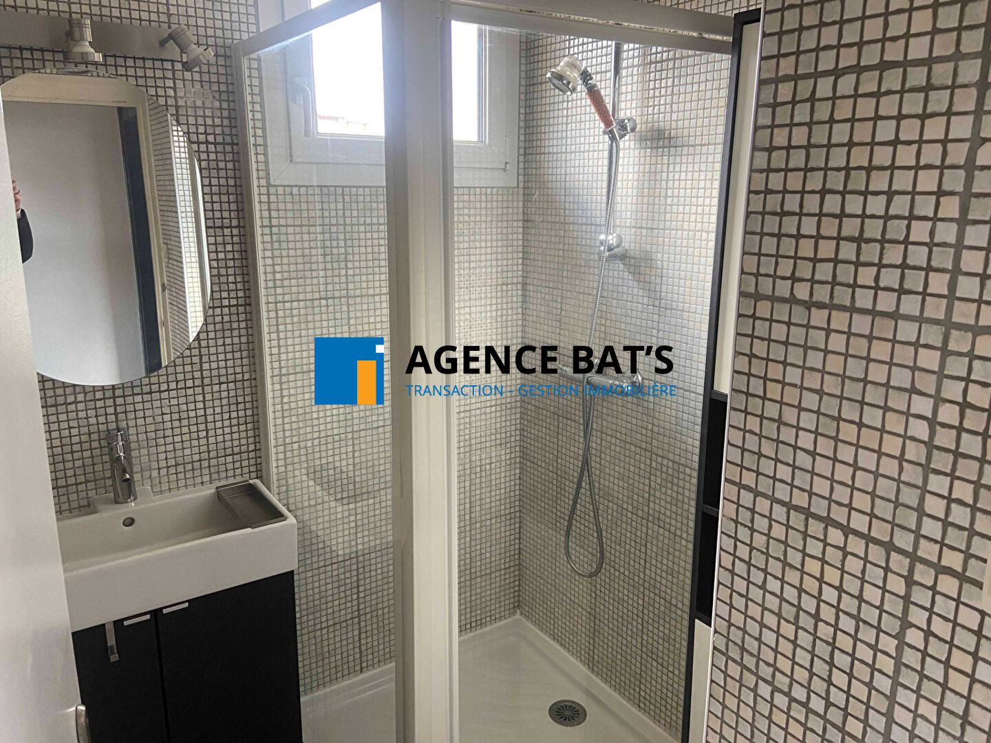 Photo A Louer T2 Saint Etienne image 5/6