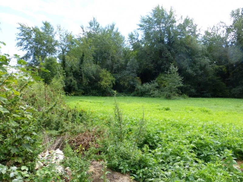 Vente terrain Mareil Sur Mauldre Vente terrain Mareil Sur Mauldre