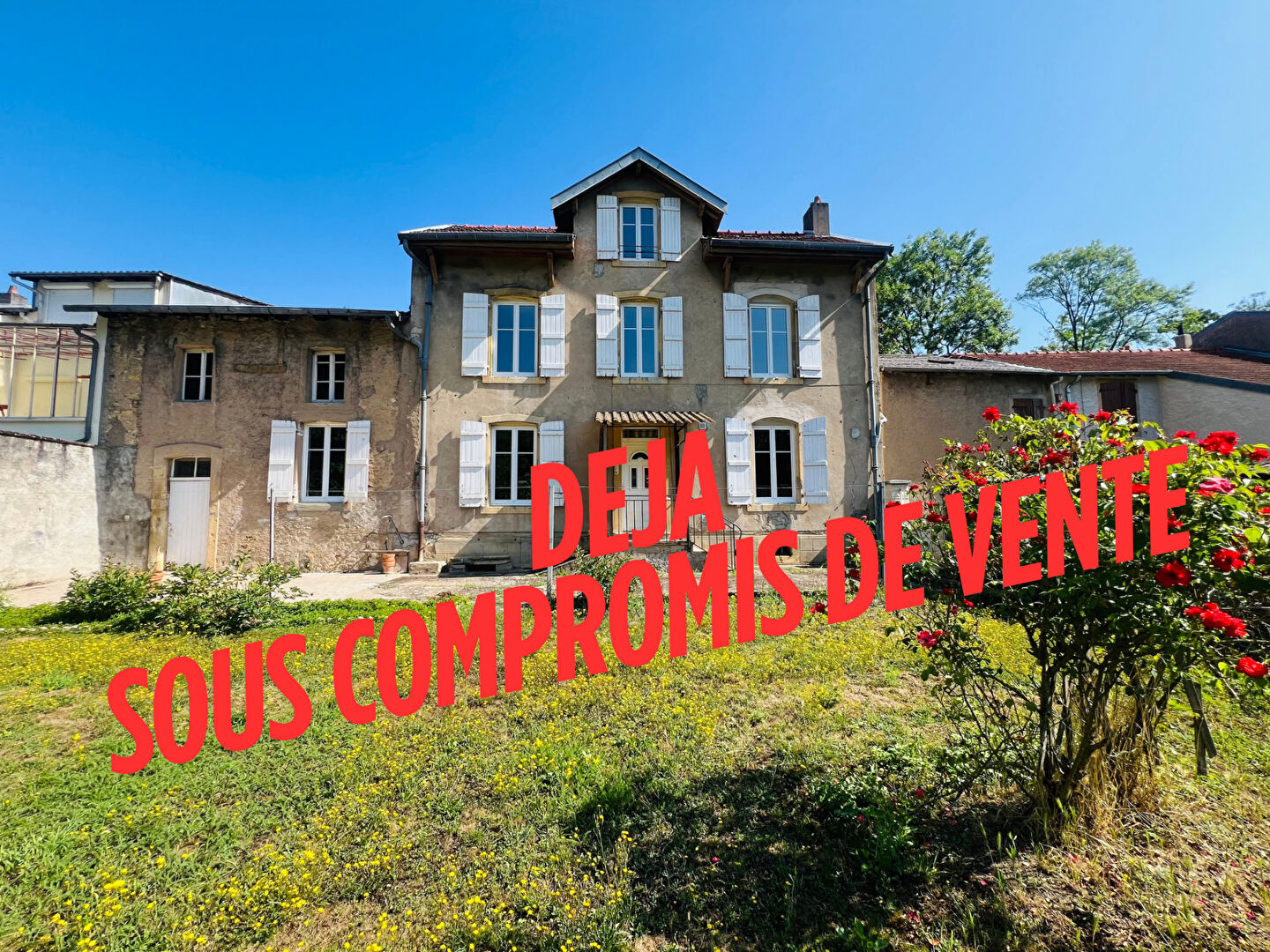 Agence immobilière de MENTOR - SIEGE - LOGIA - Metz