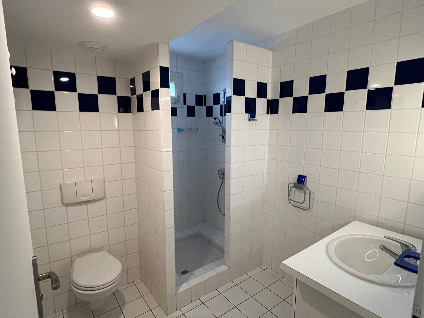 Appartement Nancy 5 pièce(s) 111 m2