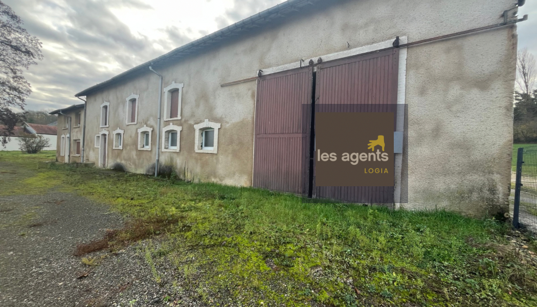 Corps de Ferme Conflans en Jarnisy 10 pièce(s) 250 m2
