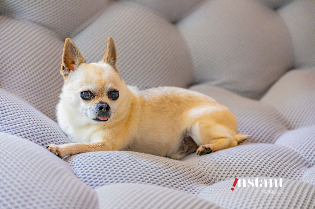 Photo Exclusivité - T4 - Foch image 2/6