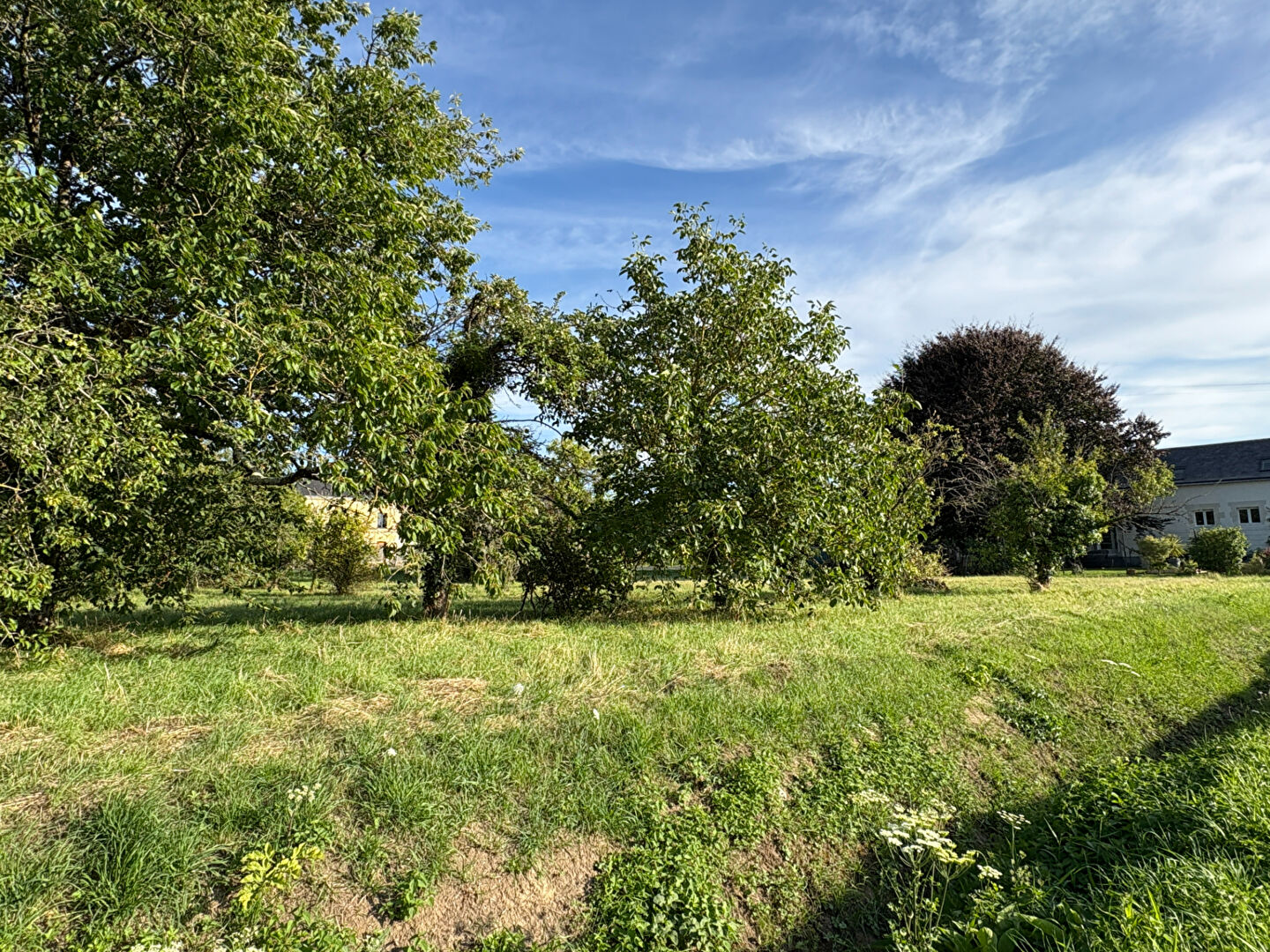 Agence immobilière de I WANT IMMO Gennes-val-de-loire