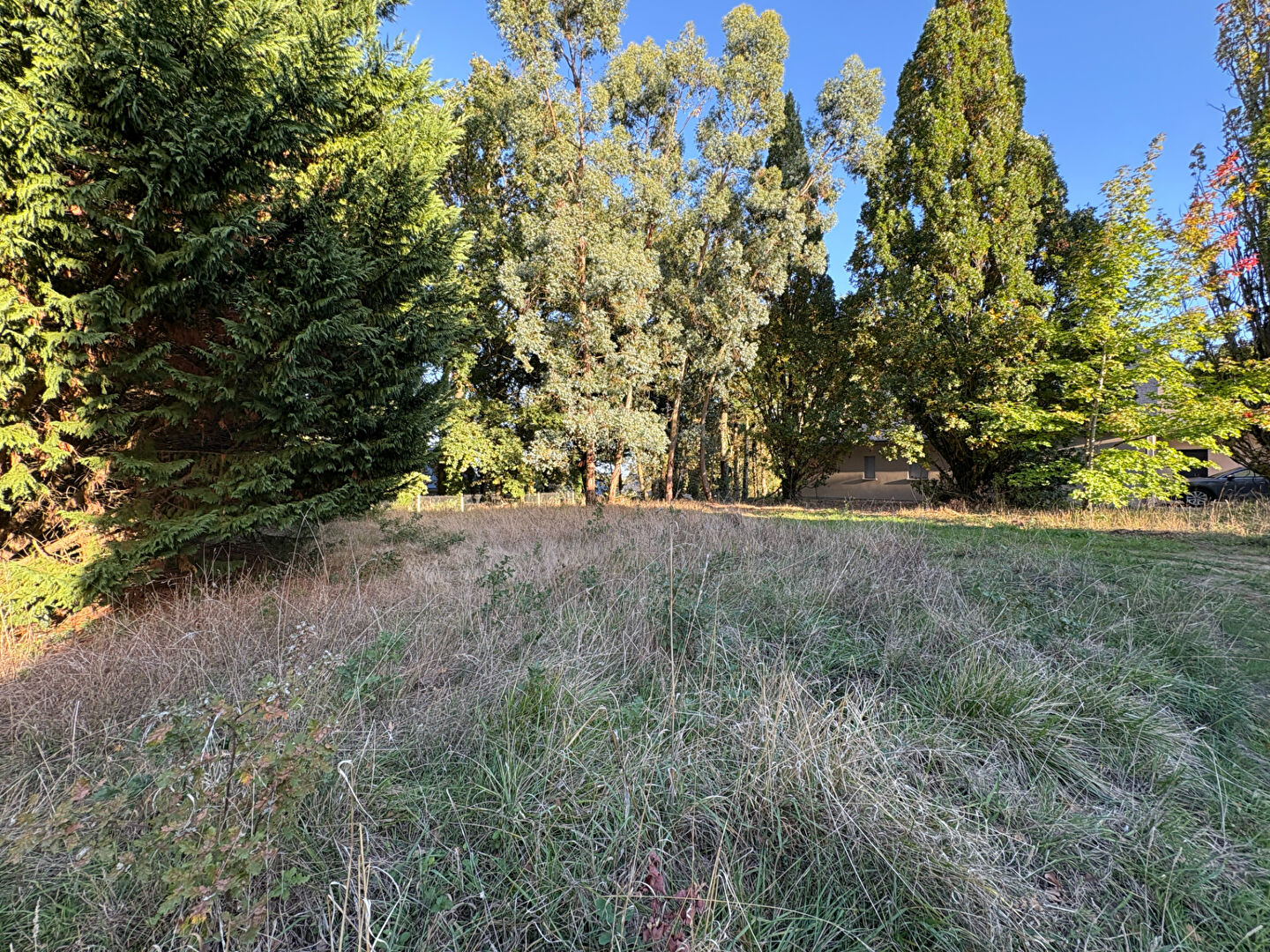 Agence immobilière de I WANT IMMO Gennes-val-de-loire