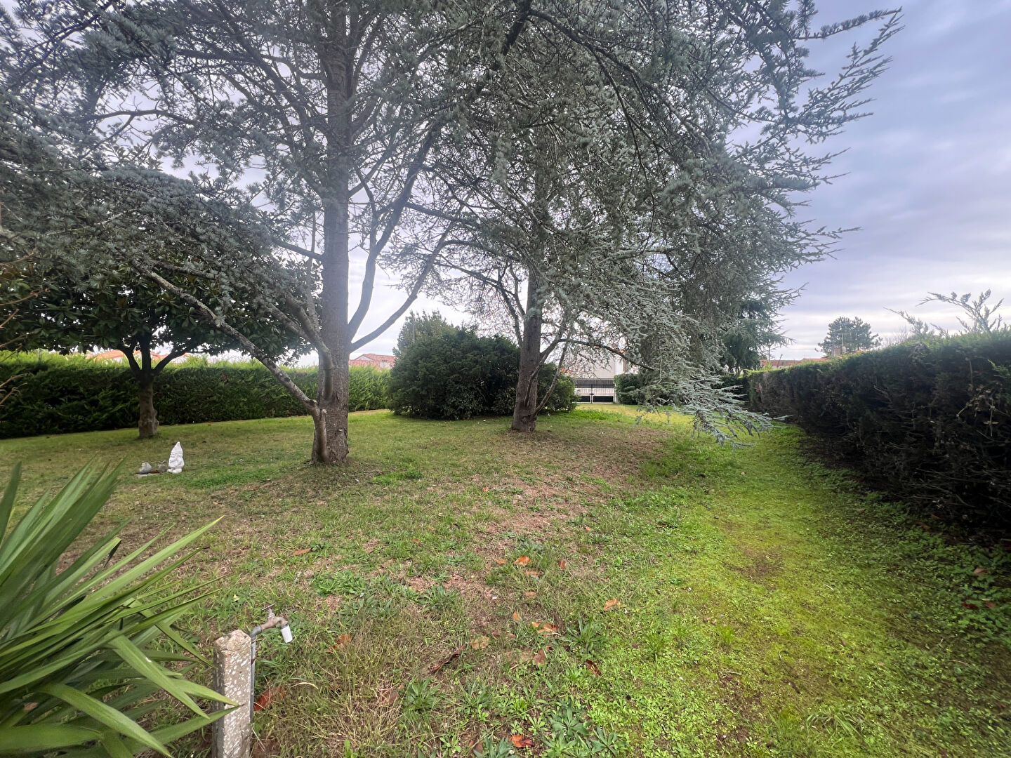 Photo Terrain Jard Sur Mer 600 m2 image 1/4