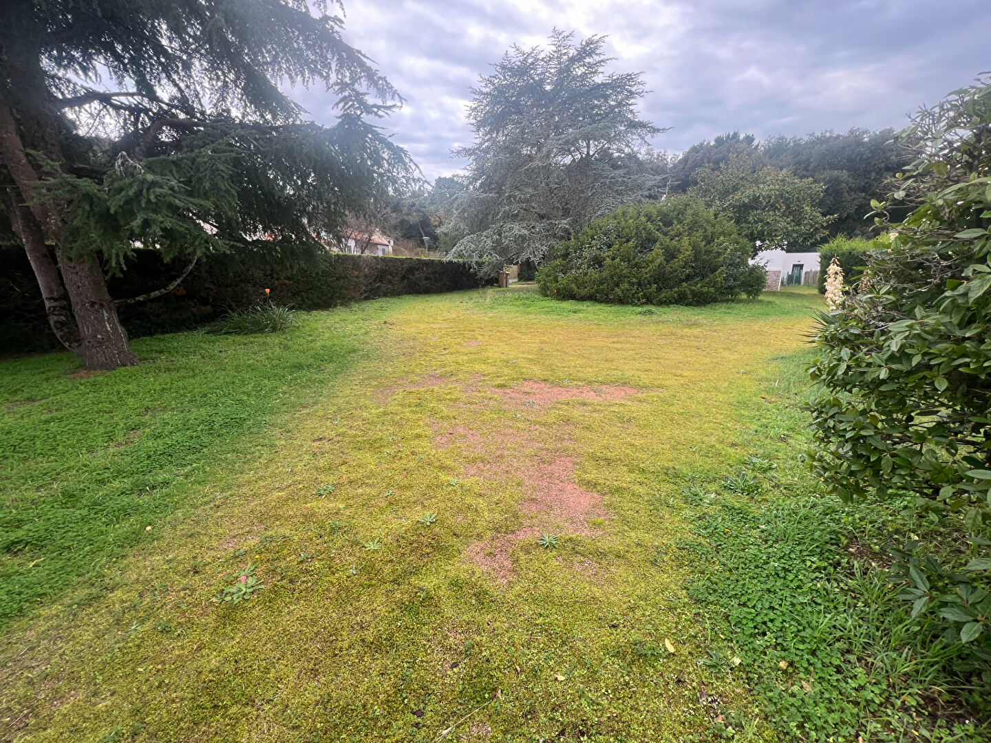 Photo Terrain Jard Sur Mer 600 m2 image 4/4