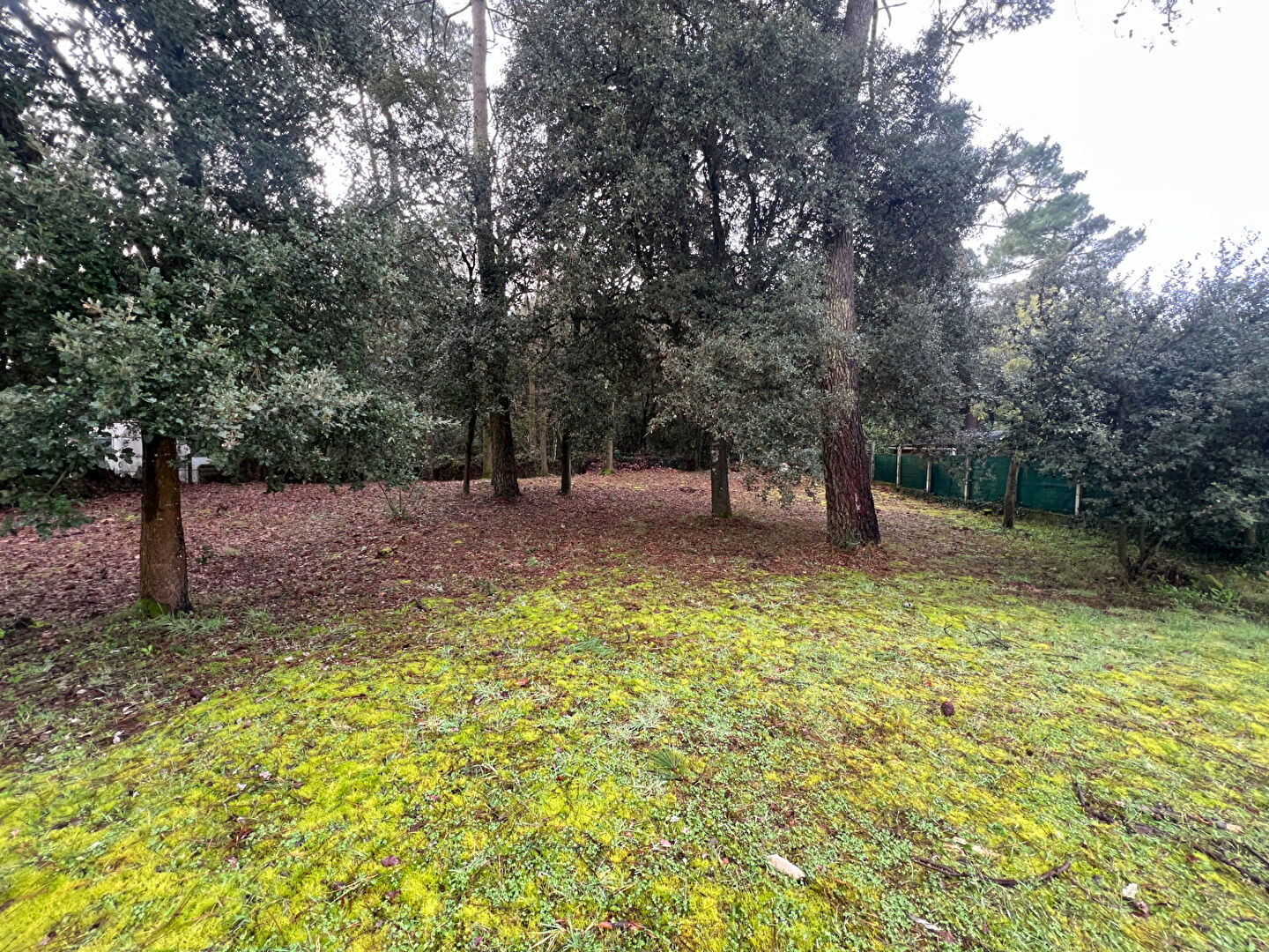 Agence immobilière de JARD IMMOBILIER - JARD IMMOBILIER