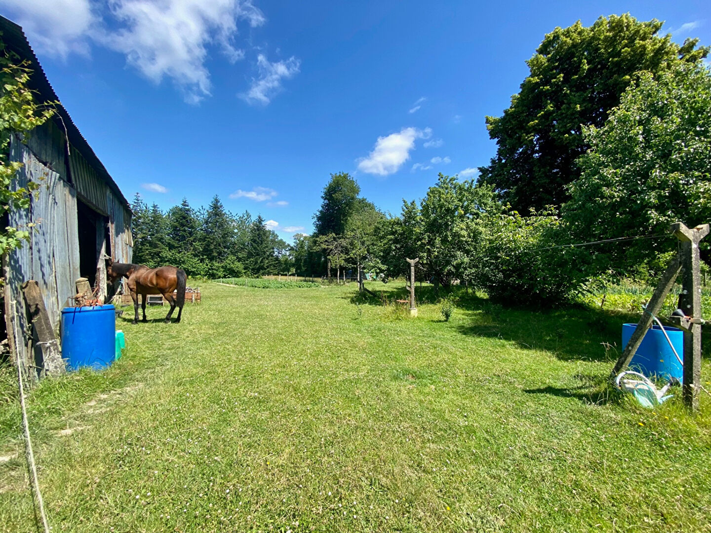 Photo Longère indépendante de 180 m² sur un terrain de 17 500 m² à PAIMPONT image 4/6