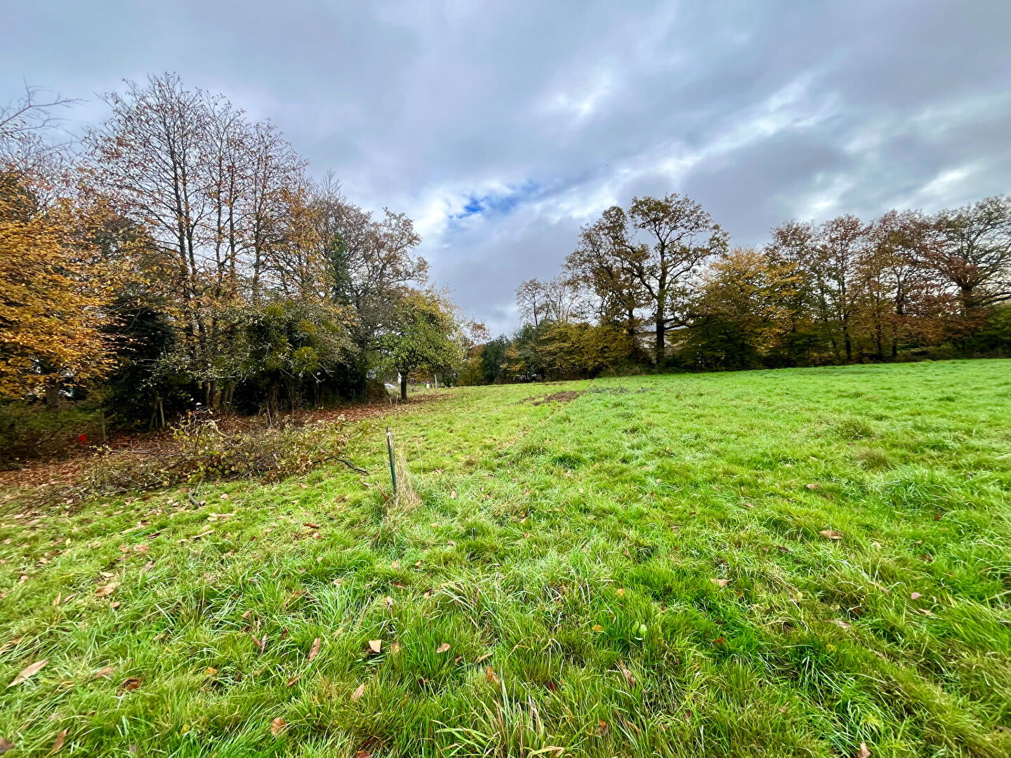 Photo Terrain Beignon 1075 m2 constructible non viabilisé image 2/3