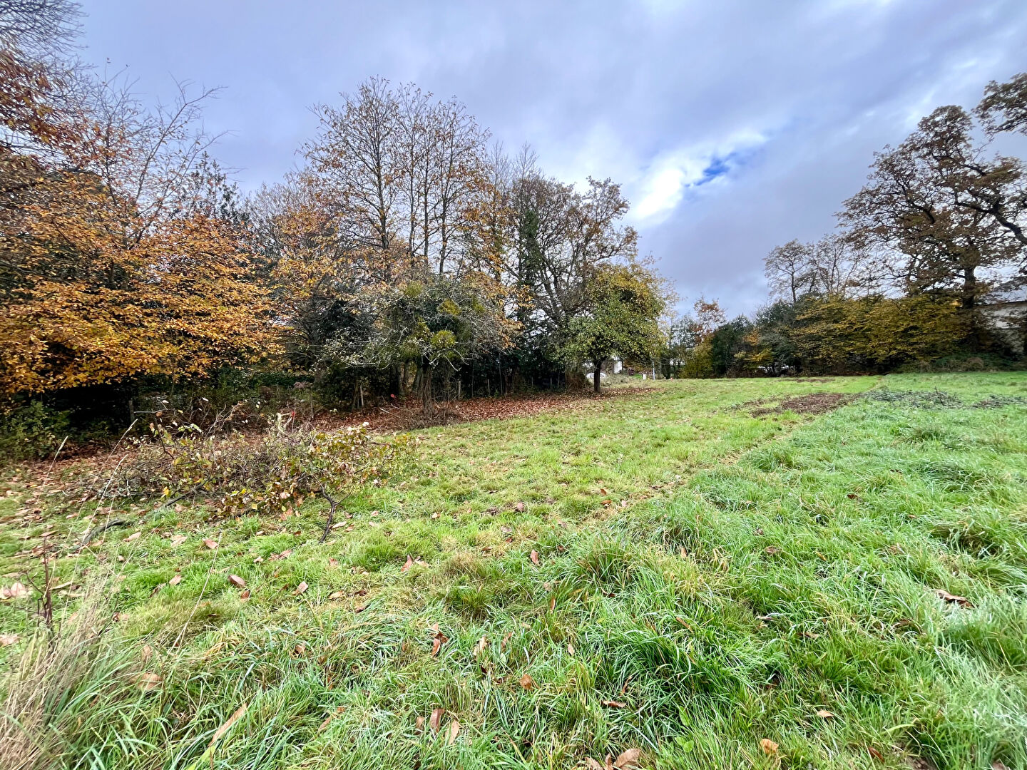 Photo Terrain Beignon 1075 m2 constructible non viabilisé image 3/3