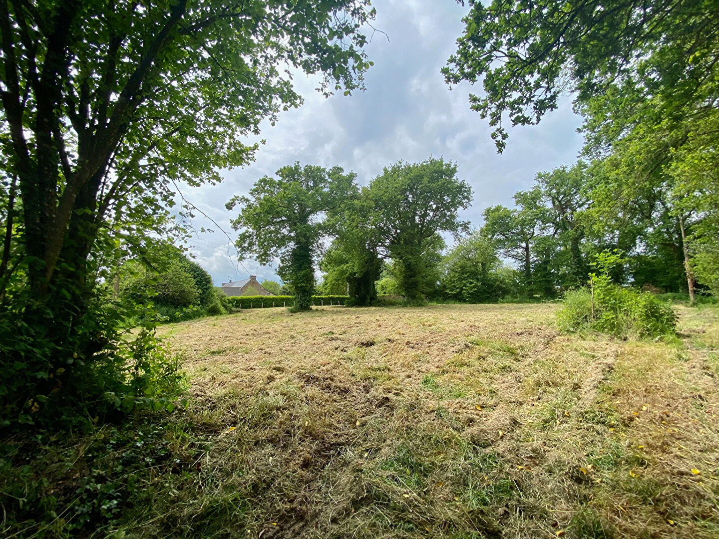 Photo Longère à rénover sur 3 000 m² de terrain à 15 minutes de Mauron et de Merdrignac image 3/4
