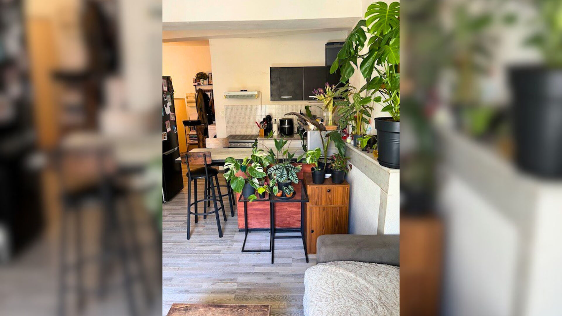 Photo Beau T3 au calme sans vis à vis, au calme absolu proche de la nature image 3/4