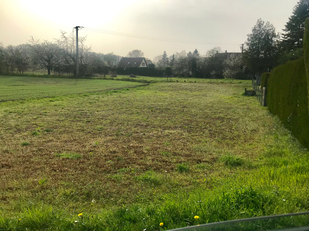 Agence immobilière de KRIS IMMOBILIER MONTREUIL Montreuil aux lions - KRIS IMMOBILIER MONTREUIL