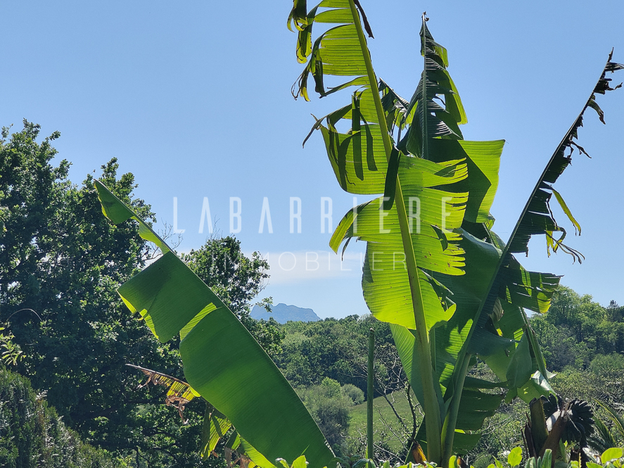 Ciboure - Villa 280 m² - 4 Chambres - Garages - Parcelle 1680 m².