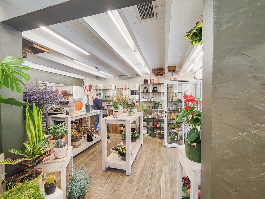 Photo FONDS DE COMMERCE - VENTE DE FLEURS - 60 M² - CENTRE BOURG, PROCHE SAINT-JEAN-DE-LUZ image 3/3