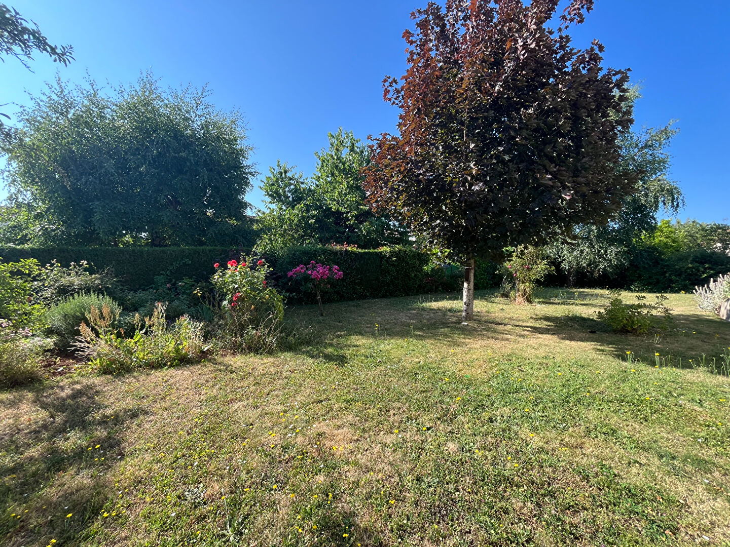 Photo Maison Saint Benoit 7 pièce(s) 155 m2 image 4/6