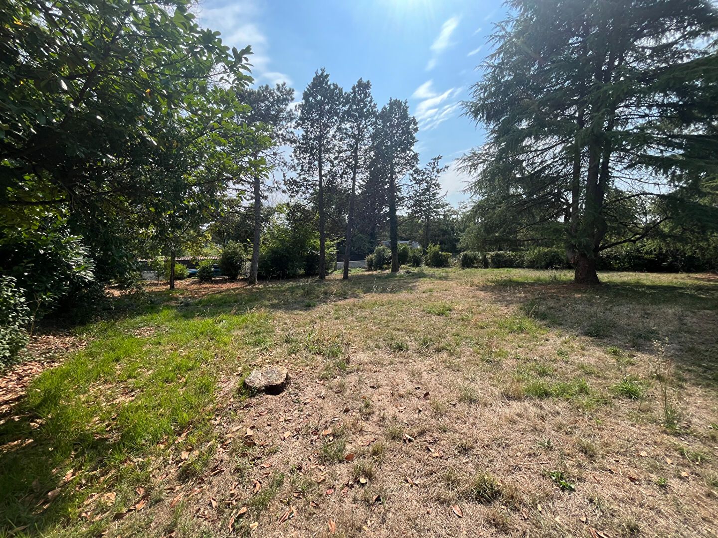 Photo Terrain Saint Benoit 1000 m2 image 2/4