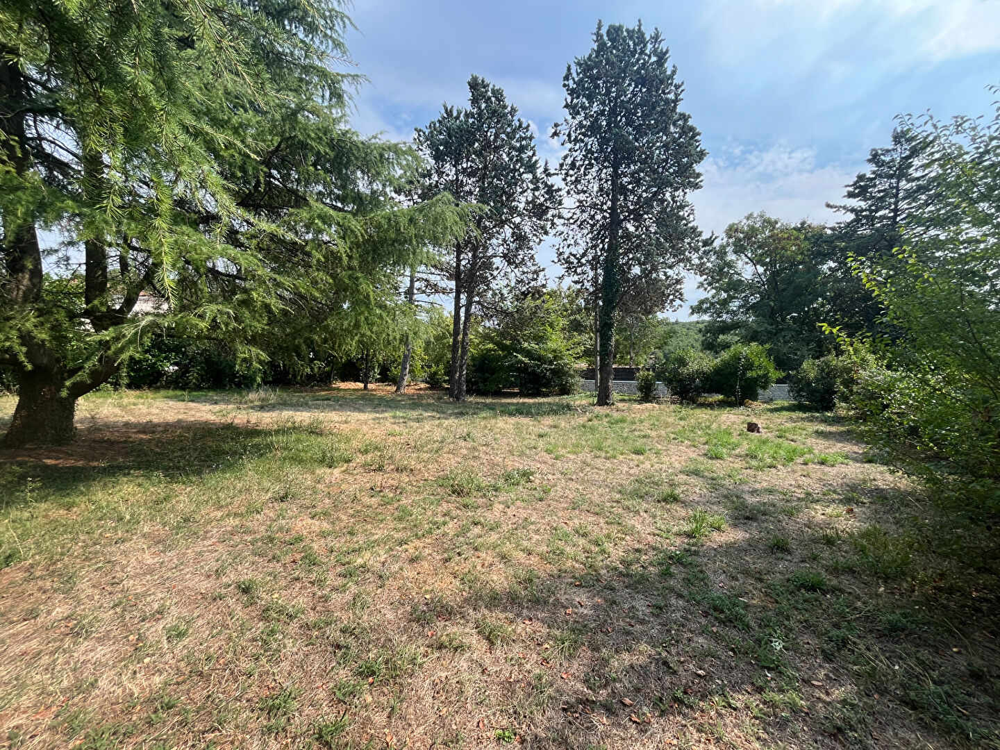 Photo Terrain Saint Benoit 1000 m2 image 3/4