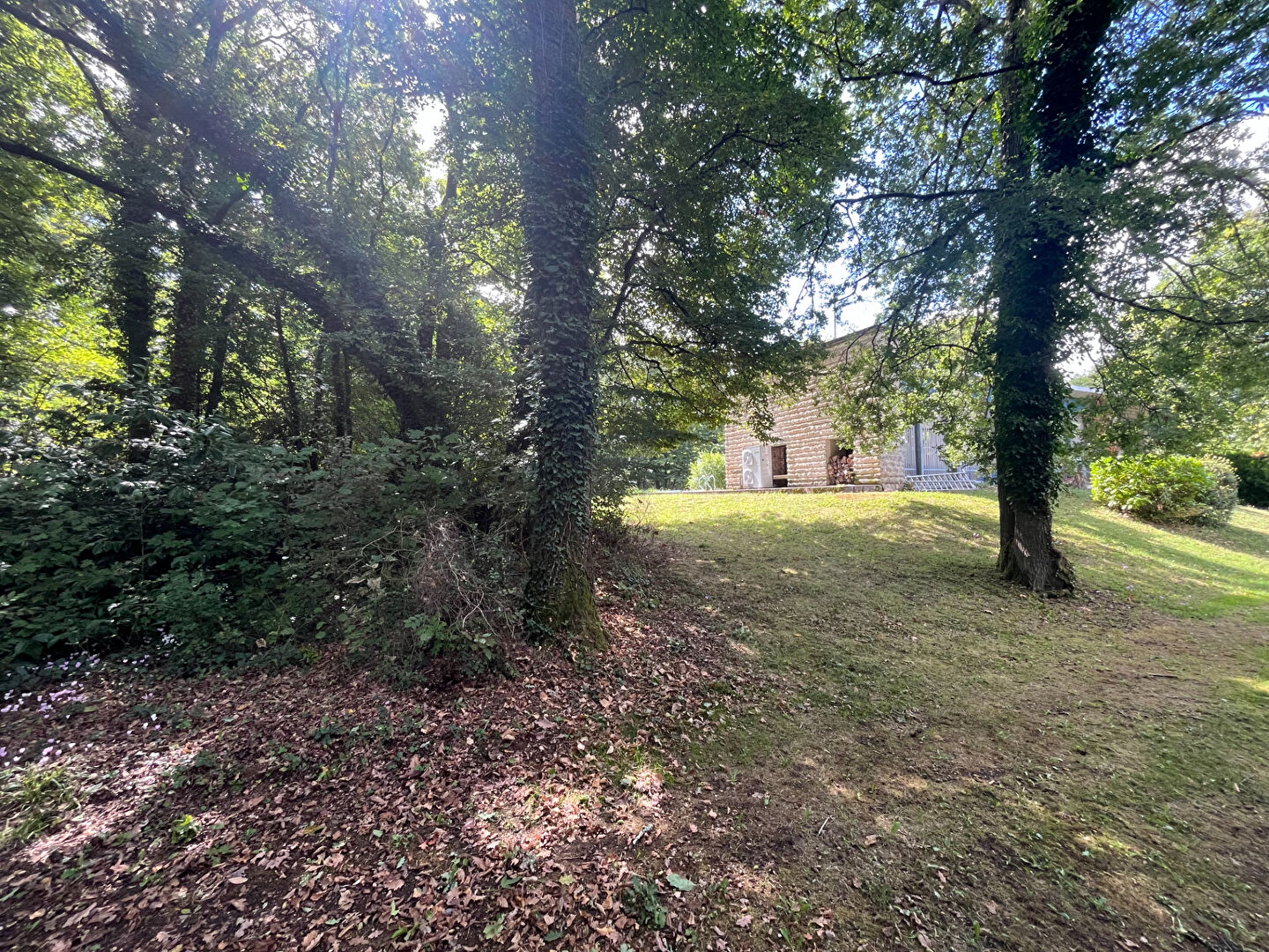 Photo Maison Saint Benoit 259 m2 image 3/6