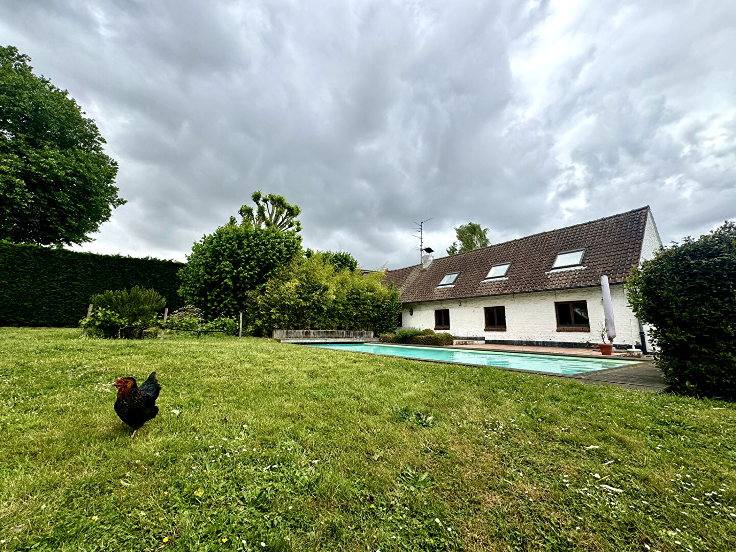 Agence immobilière de LA CENTRALE IMMO Roncq - LA CENTRALE IMMO