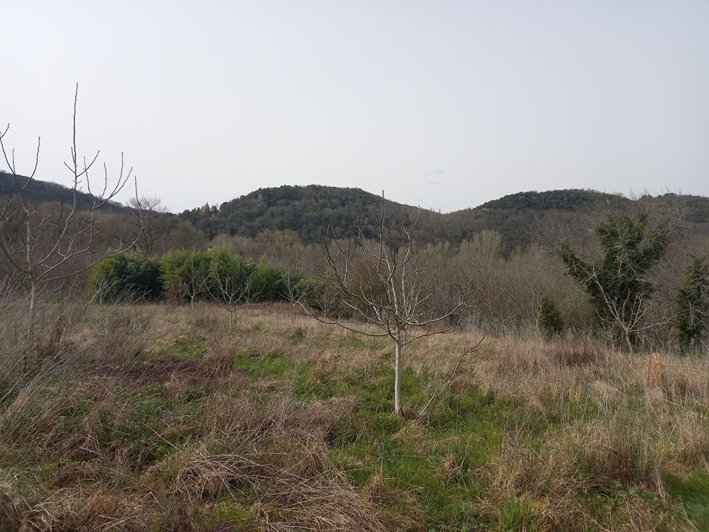 Photo SAINT JULIEN DE LAMPON - Terrain Constructible de 1654 m2 image 3/6