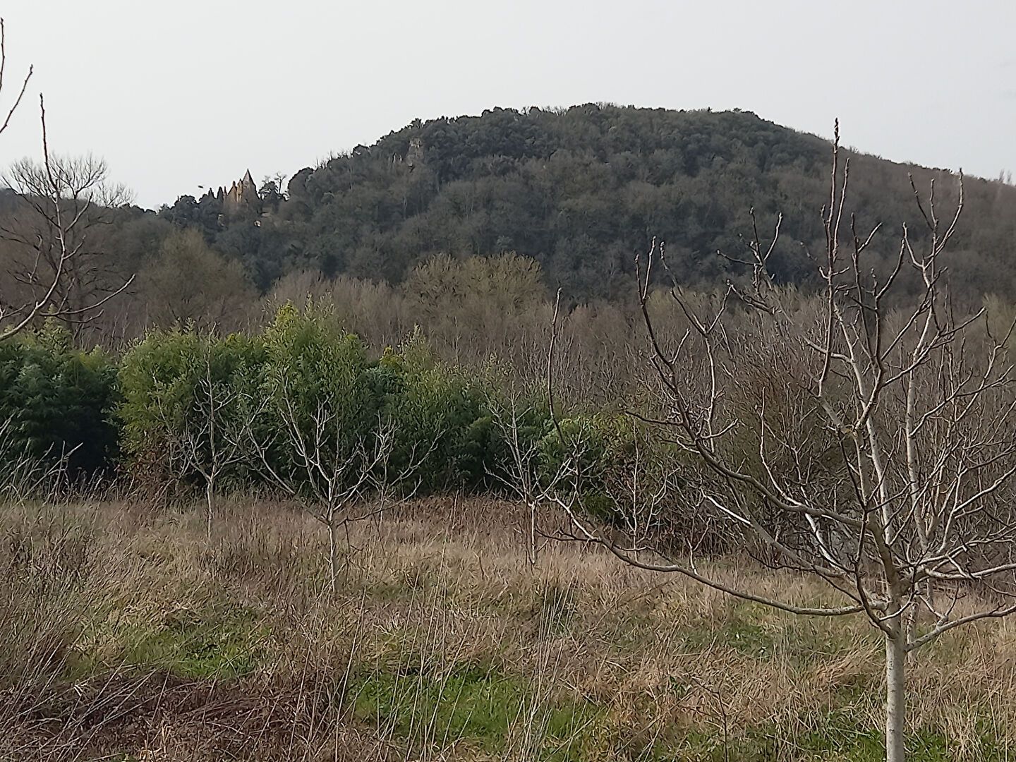 Photo SAINT JULIEN DE LAMPON - Terrain Constructible de 1654 m2 image 4/6
