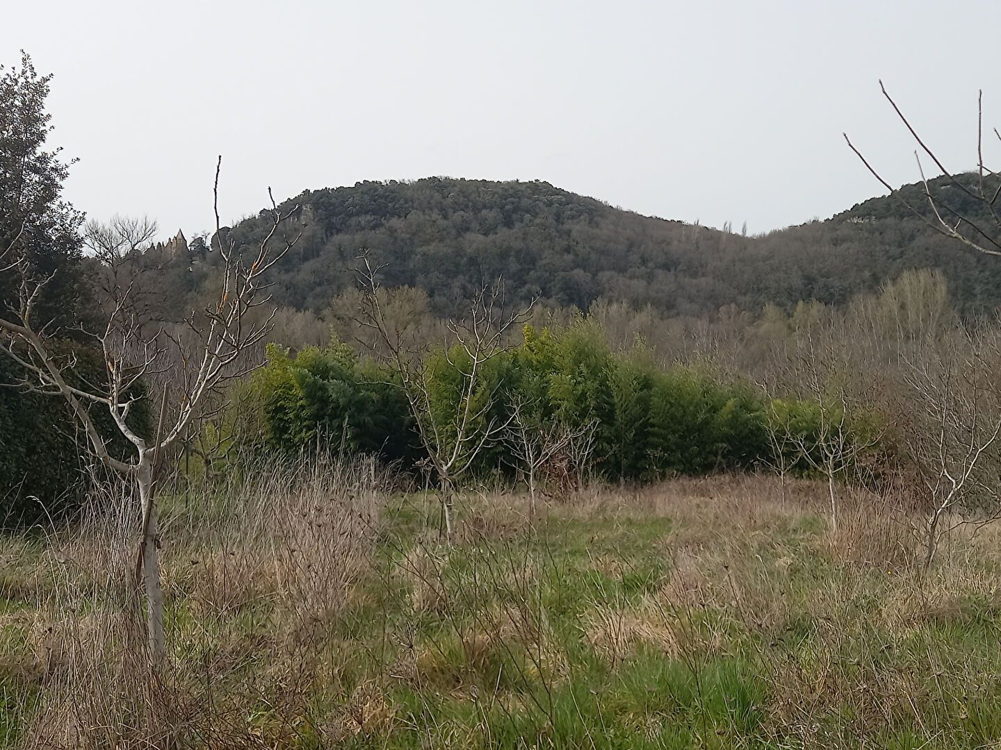 Photo SAINT JULIEN DE LAMPON - Terrain Constructible de 1654 m2 image 5/6