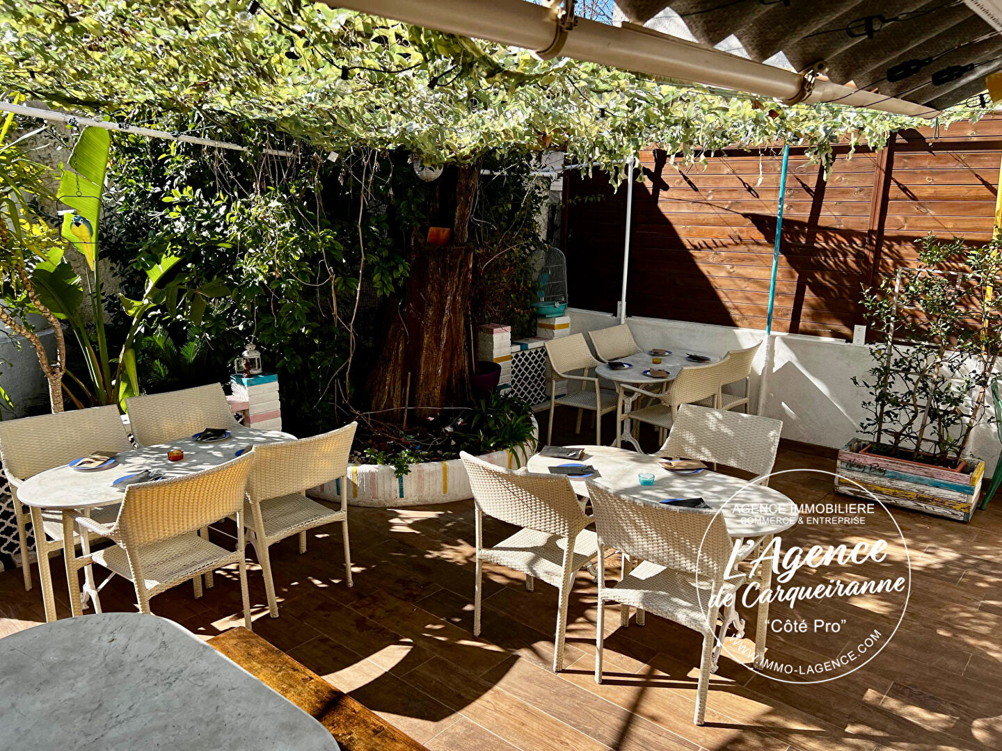 Agence immobilière de L'agence de Carqueiranne