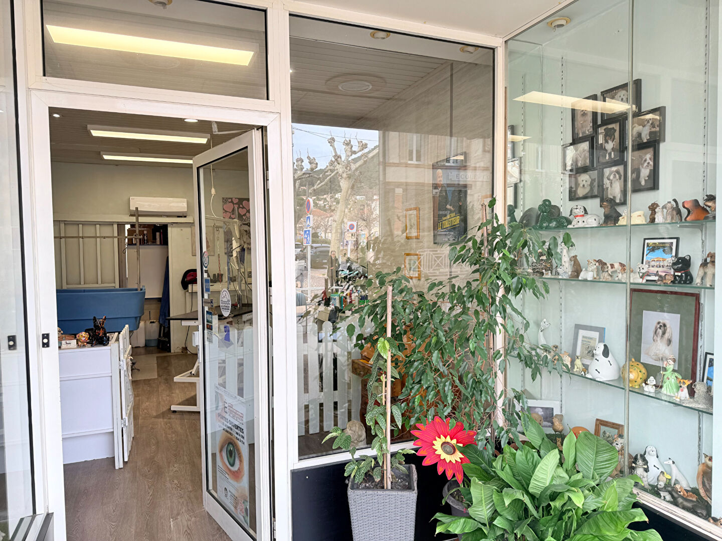 Agence immobilière de L'agence de Carqueiranne