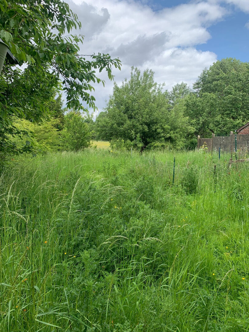 Agence immobilière de LA PETITE AGENCE DU COIN Ferriere La Petite - LA PETITE AGENCE DU COIN