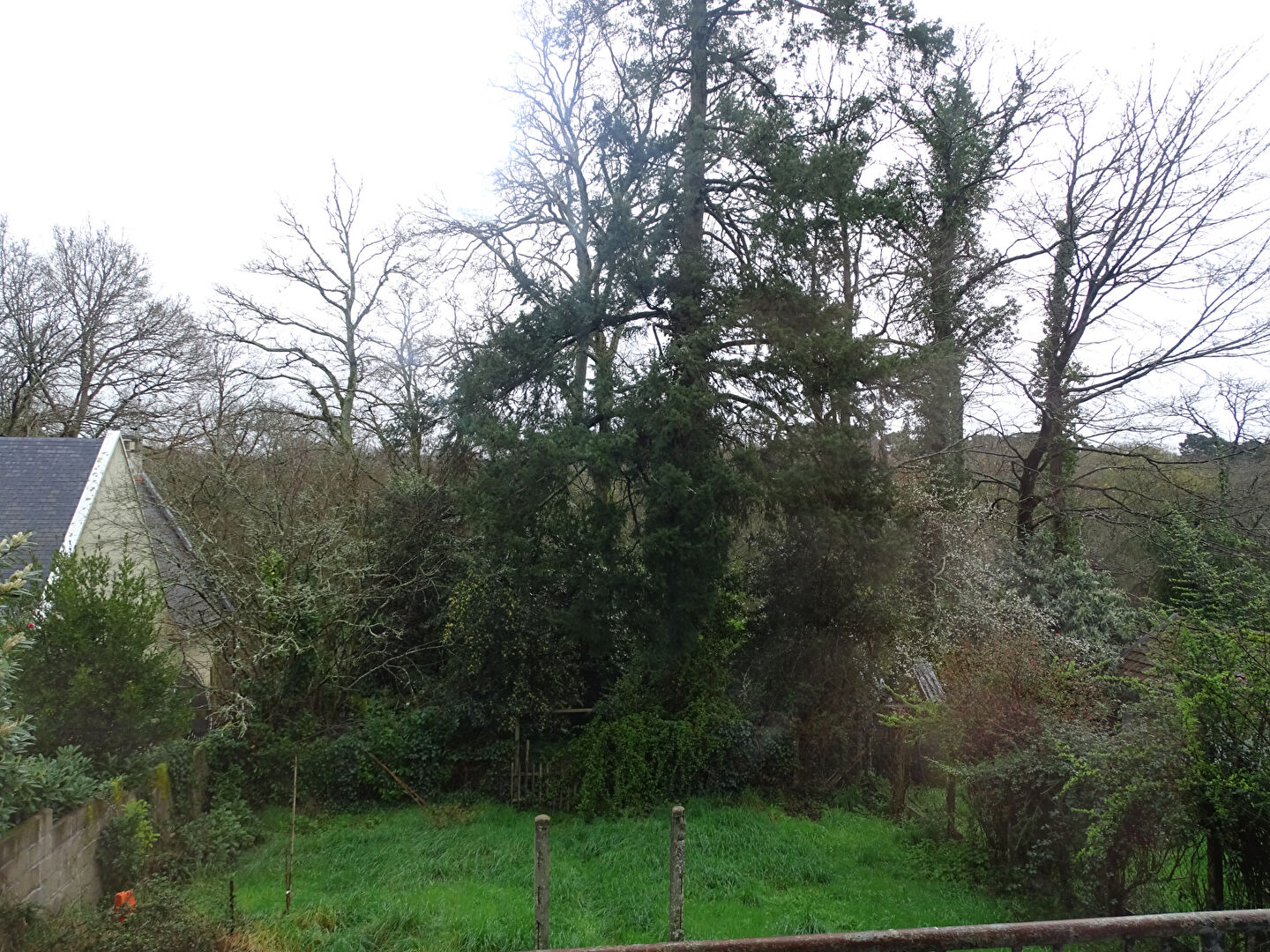 Photo Maison Orvault 5 pièces 145 m2 image 6/6