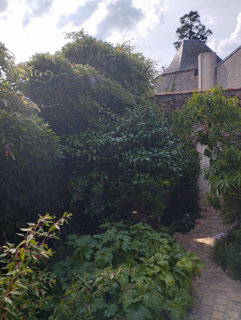 Photo Maison de bourg de 155 m²  habitables avec 4 chambres. image 4/4