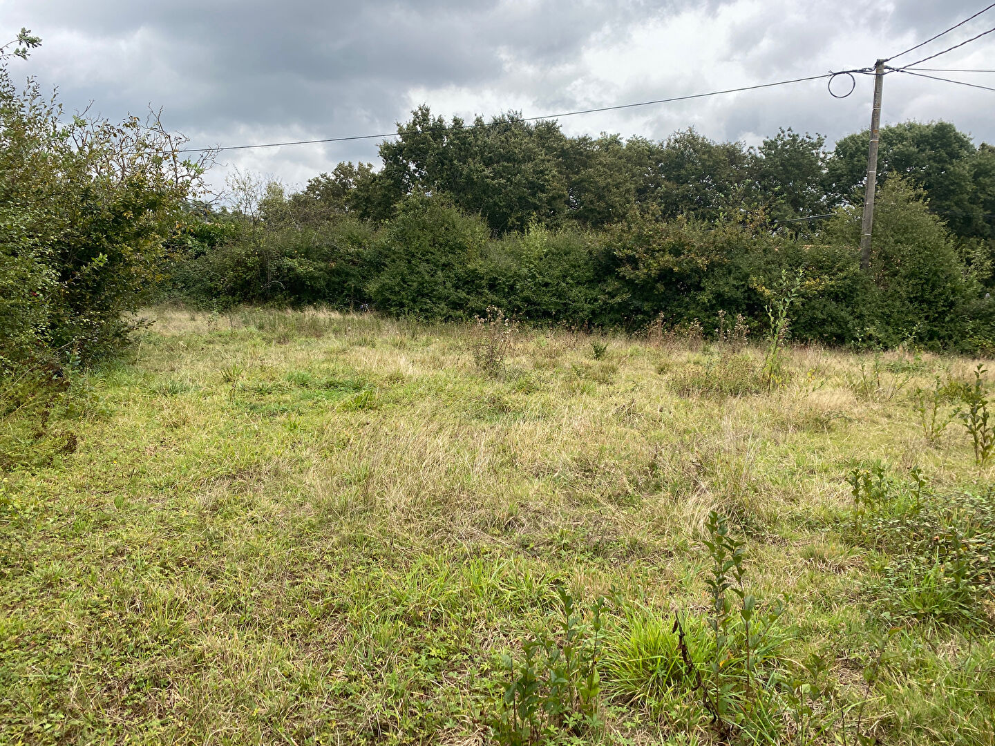 Photo Terrain constructible au Cellier image 2/2