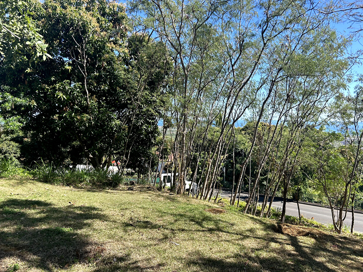 Photo Terrains à Batir  Ste THERESE La Possession image 3/3