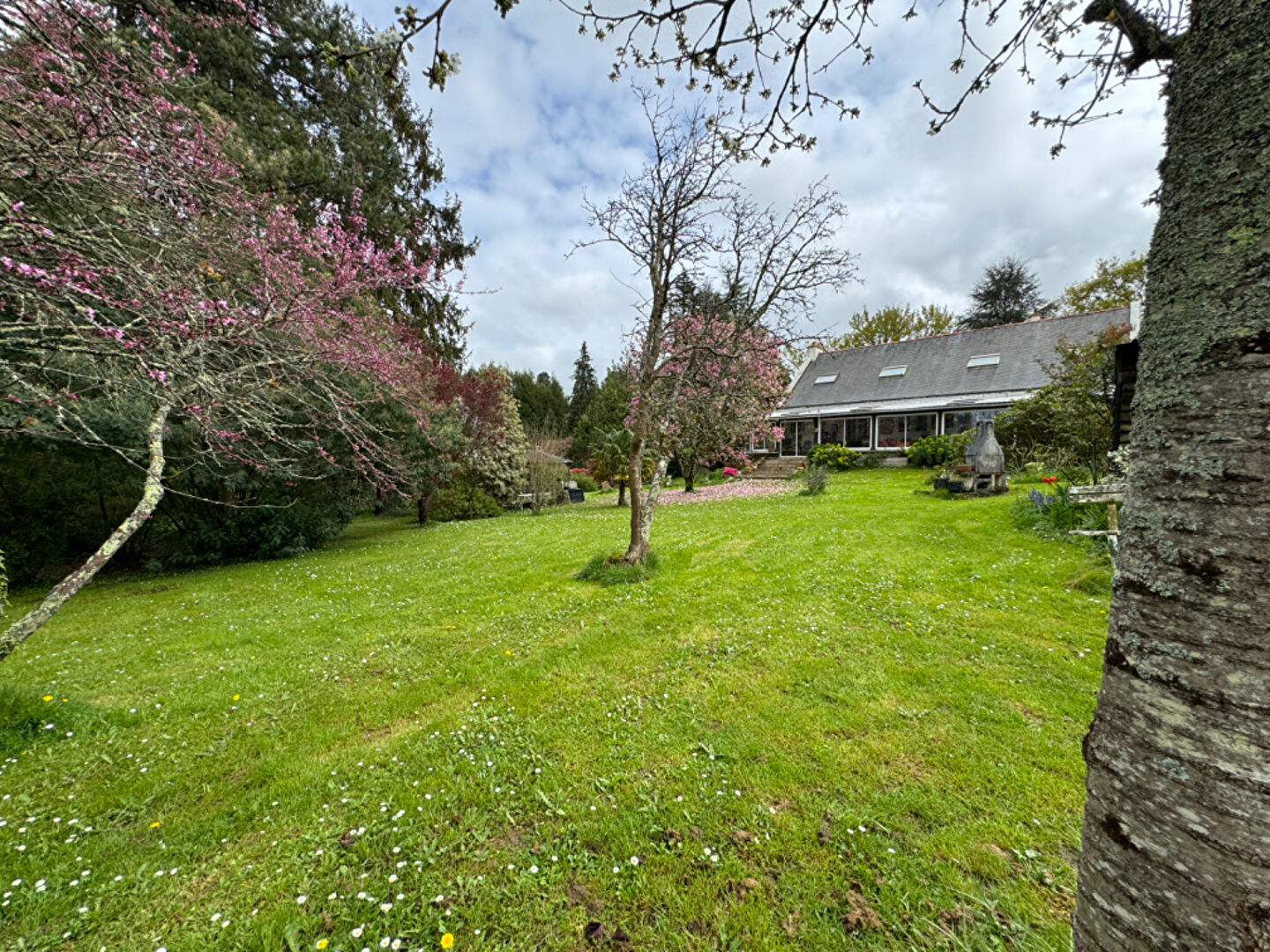 Photo terrain bourg de treillières 1010m2 image 2/2