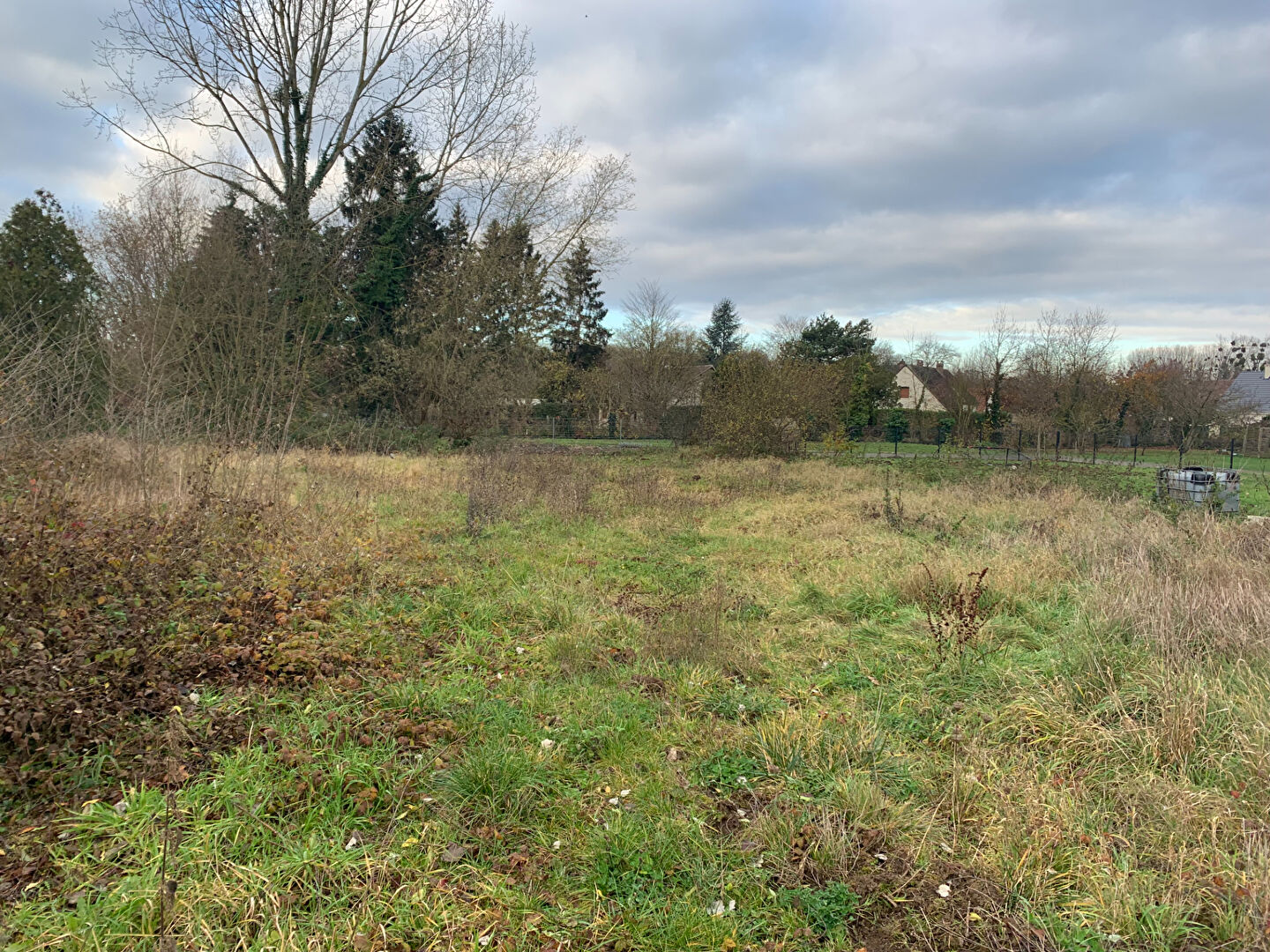 terrain constructible