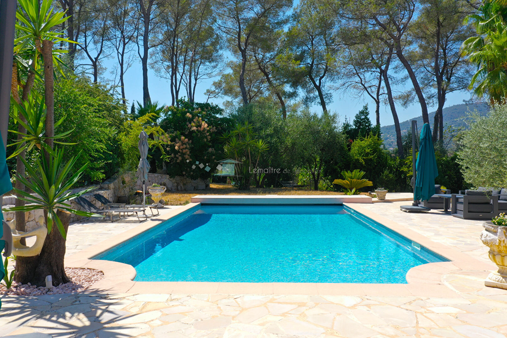 Photo Villa de standing de 300 m² avec piscine et 3740 m² de terrain image 3/6