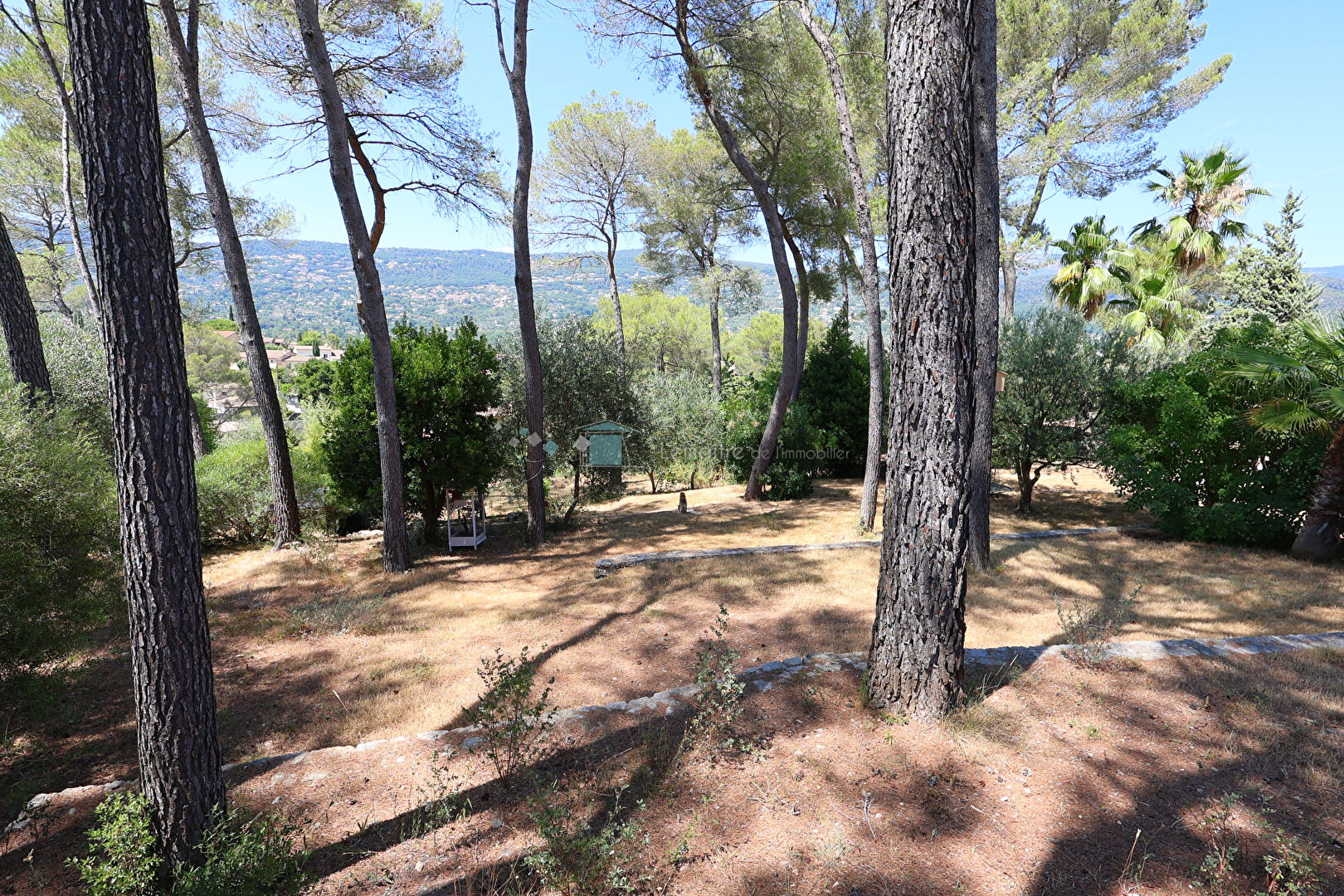 Photo Villa de standing de 300 m² avec piscine et 3740 m² de terrain image 6/6