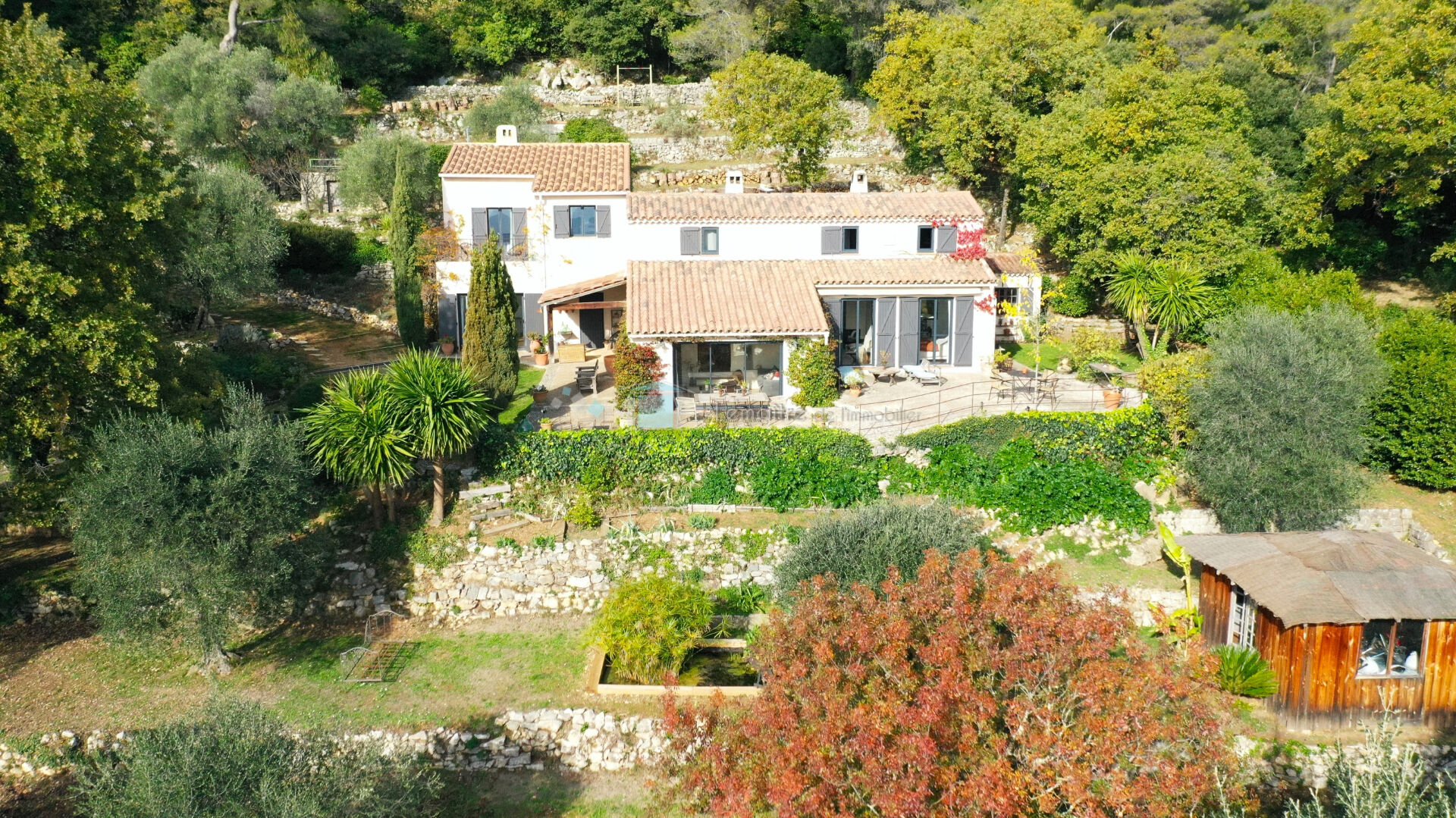 Photo Villa Grasse 10 pièces 240 m² en 2 habitations sur oliveraie de 5147 m²  vue mer image 5/6