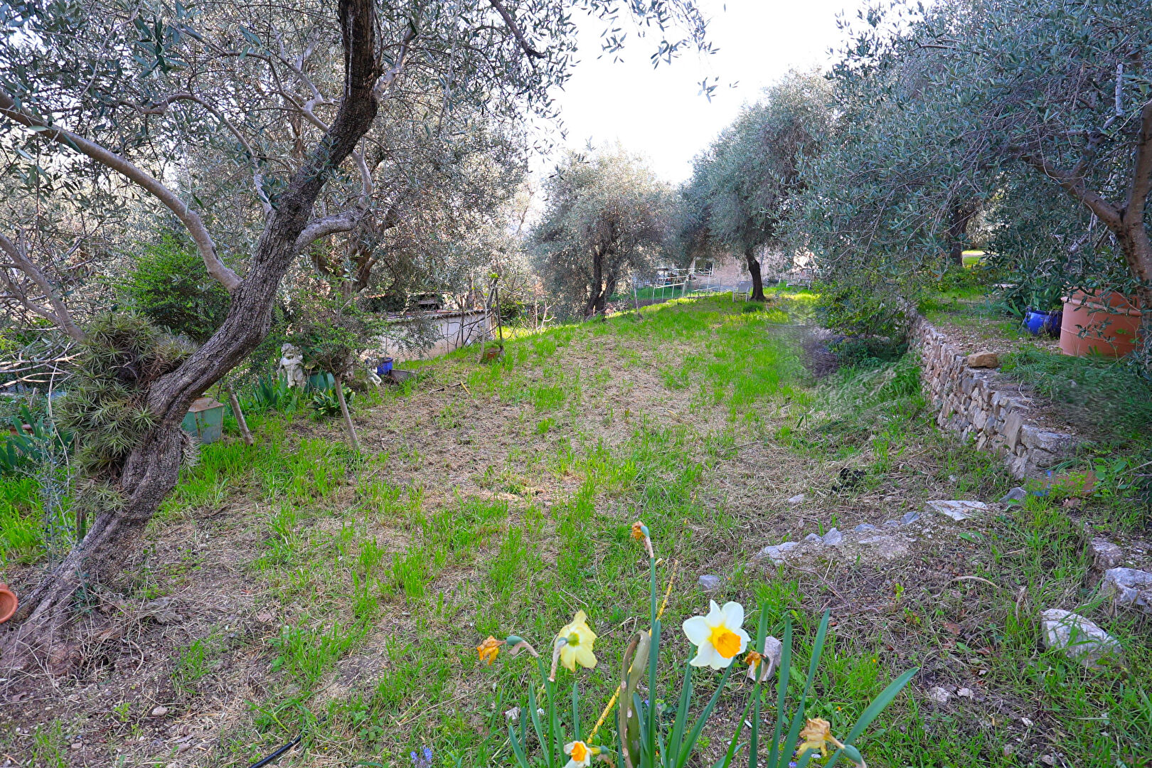 Agence immobilière de LEMAITRE DE L'IMMOBILIER - LEMAITRE DE L'IMMOBILIER