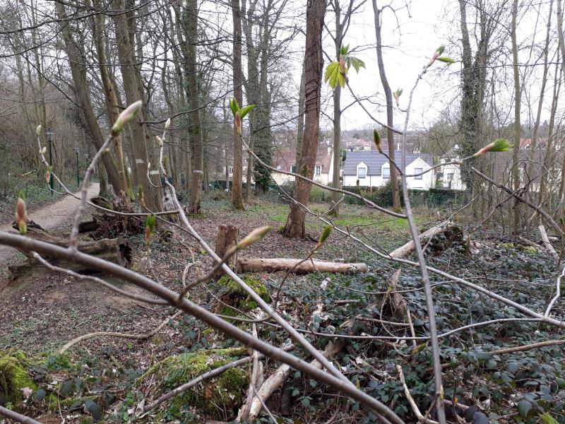 Etang la ville 467 m2 L'ÉtanglaVille 78620