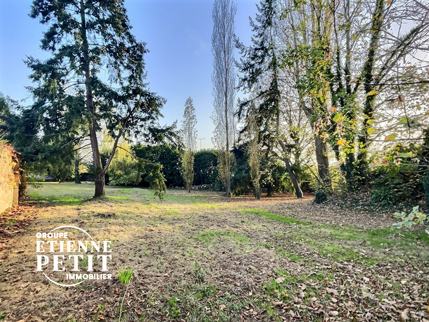 Agence immobilière de LES AGENCES IMMOBILIERES PETIT - AGENCE ETIENNE PETIT