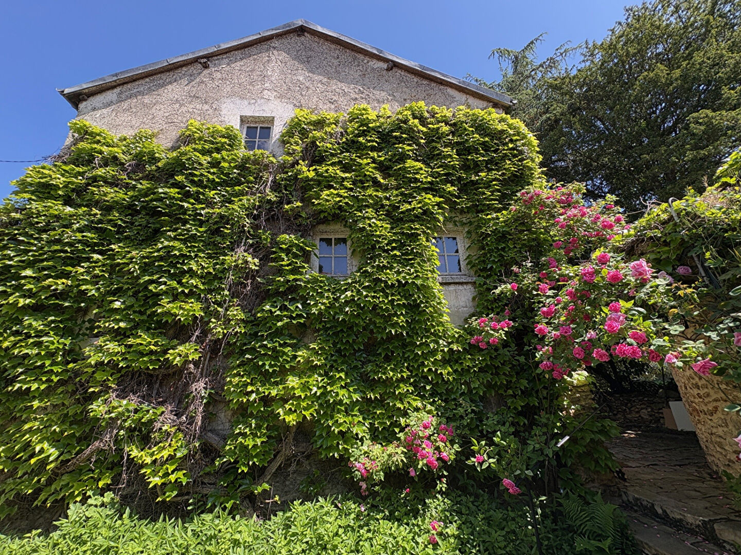 Agence immobilière de LES AGENCES IMMOBILIERES PETIT - AGENCE ETIENNE PETIT