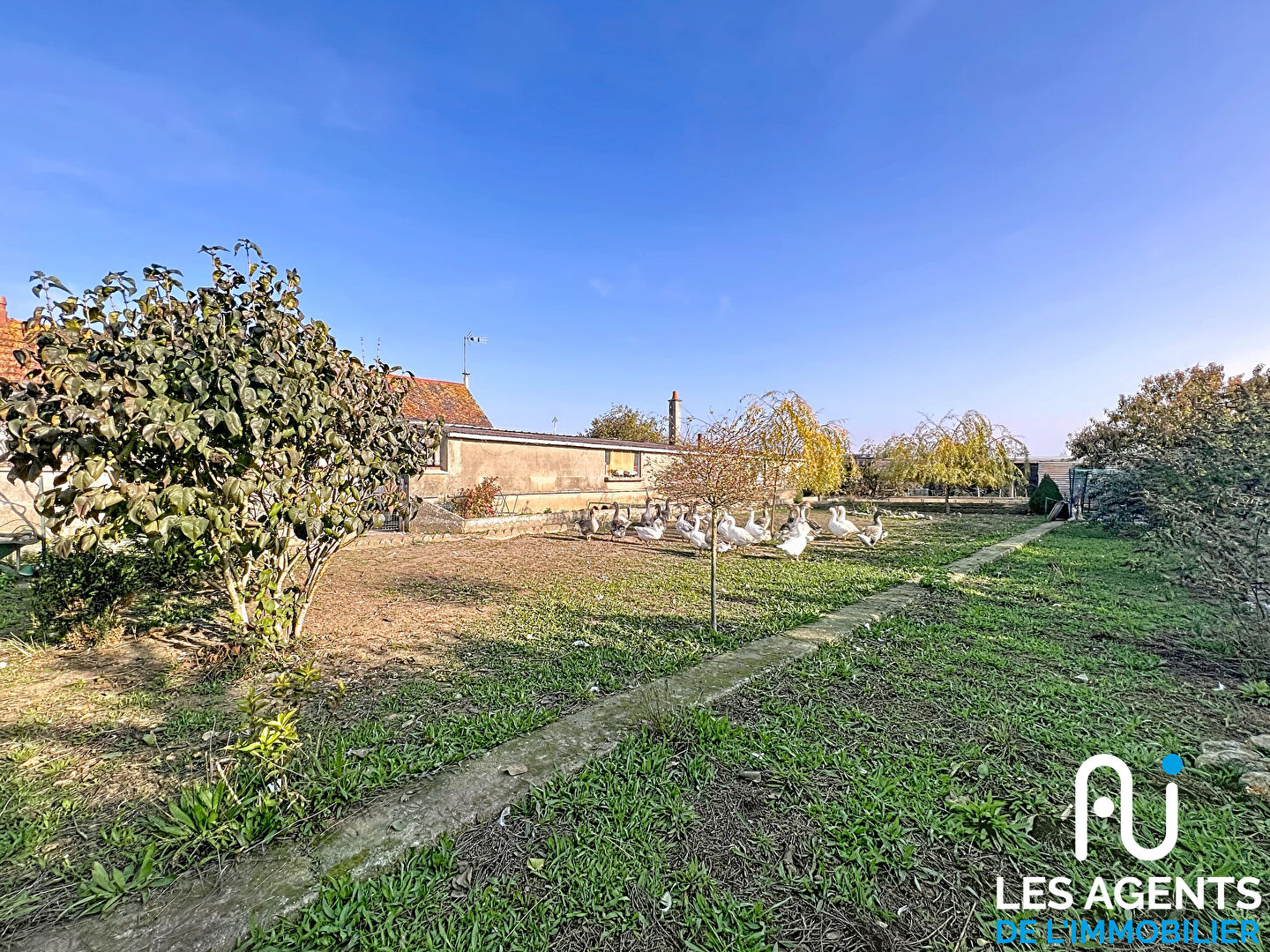 Maison  plain pieds de 5 pièce(s)  100m²