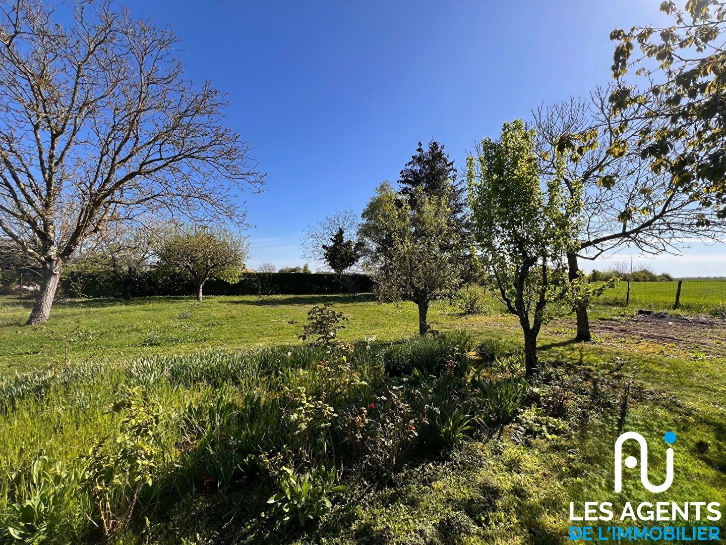 Terrain Charsonville 1951 m2